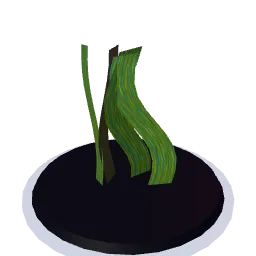 food-kelp.webp