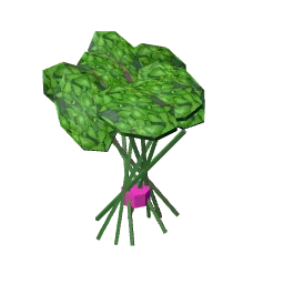 herbs.webp