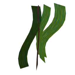 kelp.webp