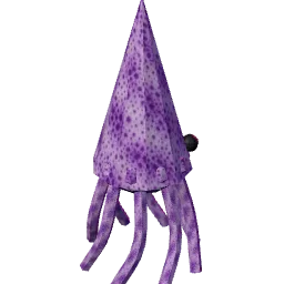 squid.webp