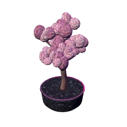 blossom.webp