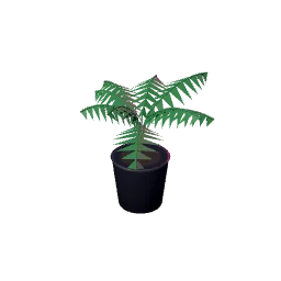 plant.webp